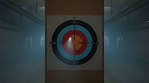 Shooting range with target riddling by bullets. Training practice or competition Stock Footage 110051370
