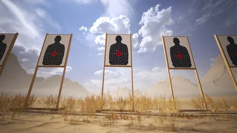 Shooting range with target riddling by bullets. Training practice or competition Stock-Footage 110053672
