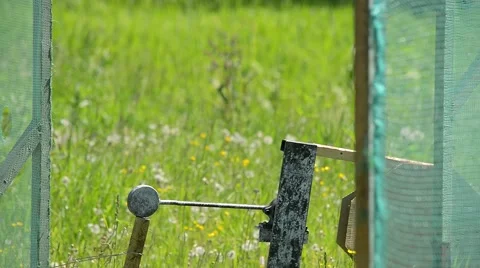 Shooting a rifle for targets Видео 61182449