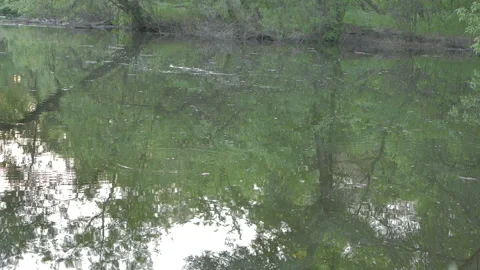 Shooting on the river Stock Footage 88880946