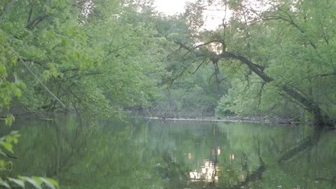 Shooting on the river Stock Footage 88881161