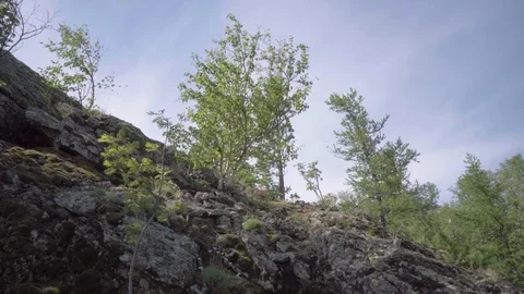 Shooting a rock camera with a stabilizer. Stock Footage 113047635