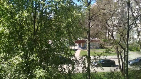 Shooting on a smartphone Vídeo Stock 128577391