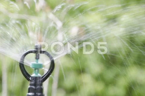 Shooting Sprinkler Stock Photos