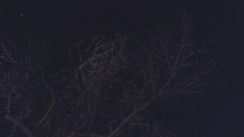Shooting Star In The Night Sky Stock Footage 280364665