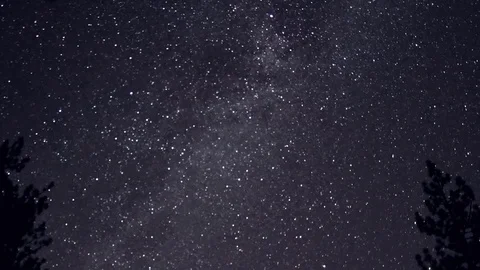 Shooting Stars over Trees Stock Footage 79140911