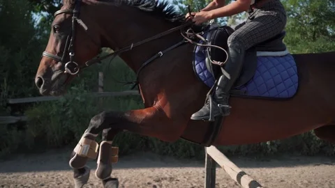 Shooting on Steadicam. A horse with a rider jumps over an obstacle. Slow motion. Stock Footage