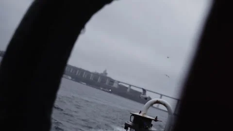 Shooting through window shows town line and flying seagulls Видео 320436147