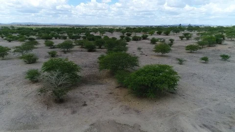 Shooting from the top of the sand drone Stock Footage 101470992
