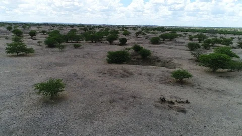 Shooting from the top of the sand Stock Footage 101471341