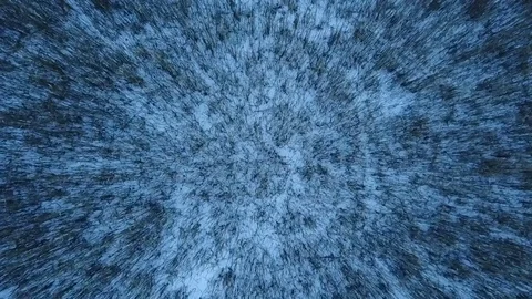 Shooting using drone. Landscape winter forest. Stock Footage 73044515