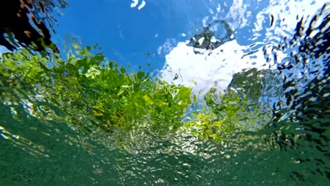 Shooting a video of scuba diving in the pool Stock Footage 231463973
