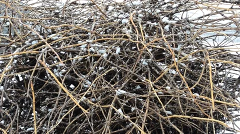 Shooting in the winter Stock Footage 46706834