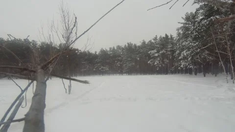 Shooting winter video from a tree Stockbeeldmateriaal 148355001