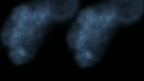 Shoots Stock Footage 143596320