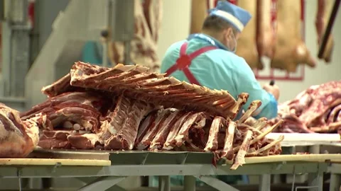 Shop for cutting carcasses of pigs and cows, workers cut the meat from the bones Video stock 111089853