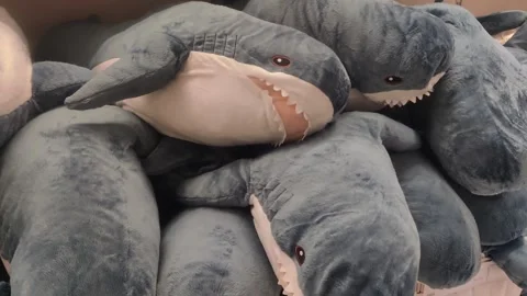 Shop display full of blue and white stuffed animal sharks Video stock 310727872