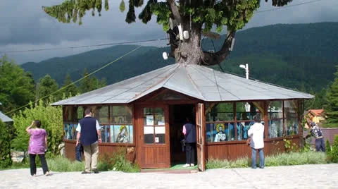 Shop Stock Footage 25041966