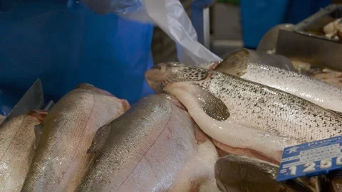 Shop keeper puts fish into a bag for a customer Stock Footage 90406727