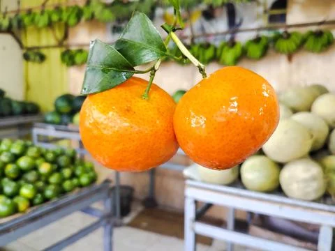 Shop oranges Stock Photos