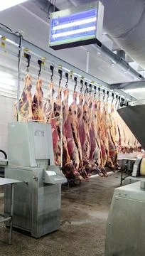 Shop for processing raw beef meat at a meat processing plant Stock Photos