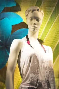 Shop-window Stock Photos