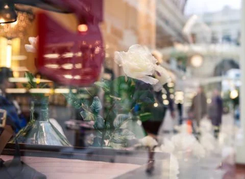 A shop window with reflection and a white rose Foto stock