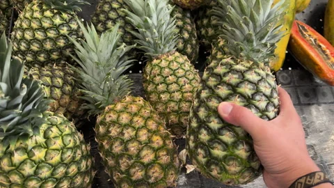 Shopper Hand Selecting Pineapple from Tropical Fruit Display Stock Footage 337911243