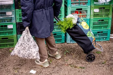 Shopper pulling trolley at street vegetable market Stock Photos