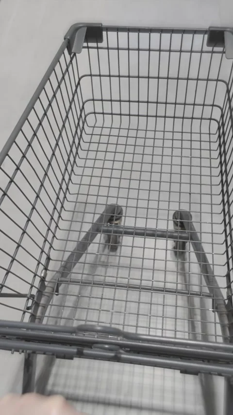 Shopper pushing empty cart between grocery store shelves, scanning product Stock Footage 315561137