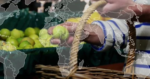 Shopper reaching market bin, checking choosing green fruit placing in basket map Vidéo 321319392