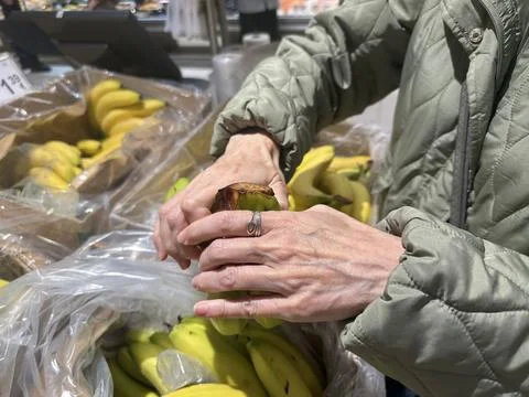 Shopper selecting bananas at vegetable section Maxima supermarket Klaipeda 23 Se Stock Photos
