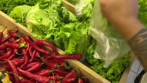 Shopper selects green lettuce beside red chili peppers in a close-up view 库存影片 346743208
