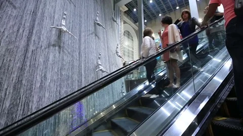 Shoppers at Dubai Mall. Stock Footage 73609027