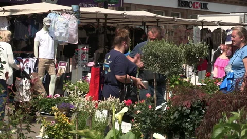 Shoppers at a flower stall Video stock 155884651