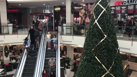 Shoppers at the mall during Christmas Video stock 184328389