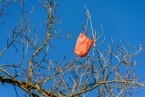 Shopping bag tree Stock Photos