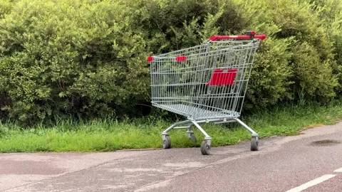 Shopping cart bushes Stock Footage 342590053