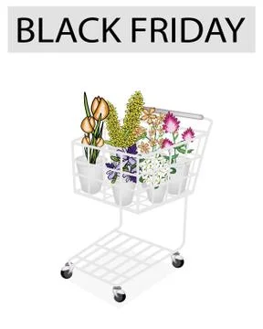 A shopping cart full with various type of of beautiful flower and orchid for Stock Illustration