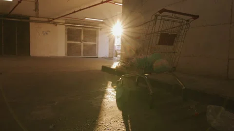 Shopping cart with garbage and plastic bottles at sunset Stock Footage 225409633
