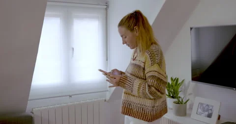 Shopping from home: Stockbeeldmateriaal 347089138