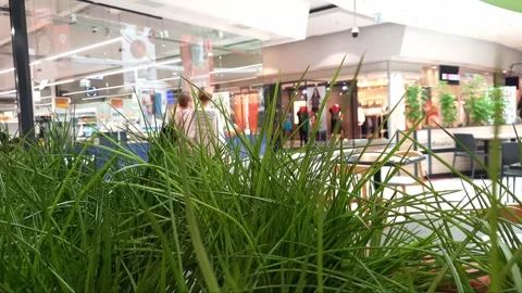 Shopping mall Stock Footage 261581687
