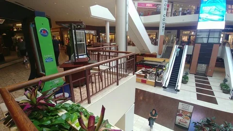 Shopping Mall - Interior - Escalators - Multi Level Stock Footage 110855157