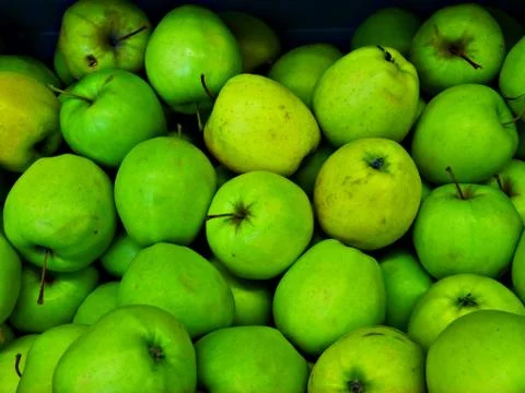 Shoppping Stock Photos