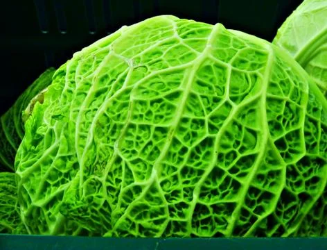 Shoppping Stock Photos