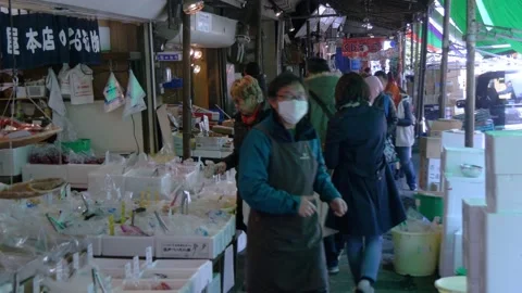 Shops Inside The Biggest Fish Market In Tokyo, Japan Stock Footage 158992113