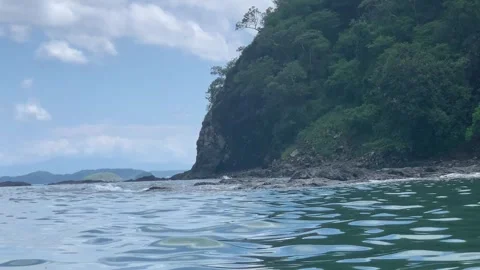 Shore 01 - Rainforest and ocean Stock Footage 282919900