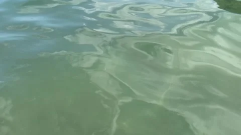 Shore 02 - Water reflection Video stock 282856269