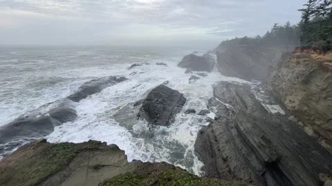Shore Acres State Park waves Video stock 329448833