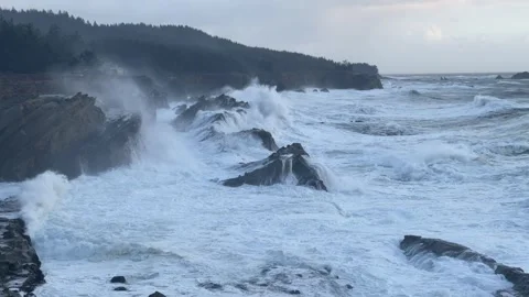 Shore Acres State Park waves splash and churn Stock Footage 329452594